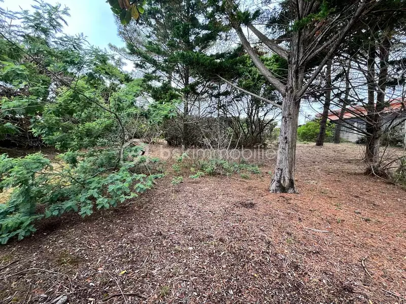 Terrain, 908 m²