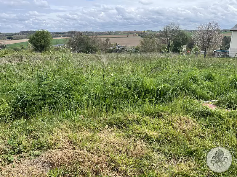 Terrain, 1 280 m²