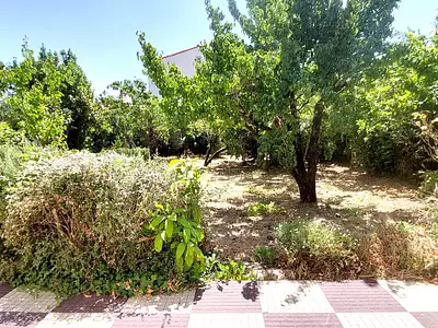 Maison, 74,02 m²