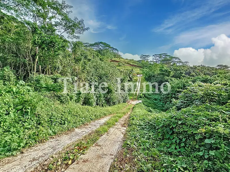 Terrain, 1 900 m²