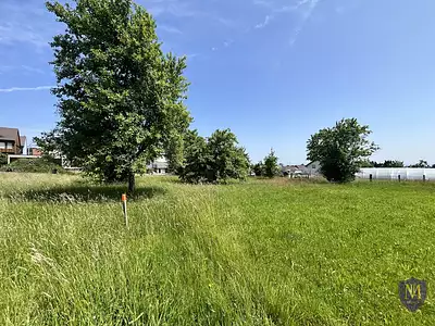 Terrain, 1 323 m²