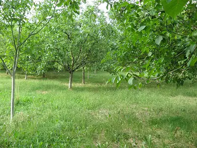 Terrain, 2 000 m²