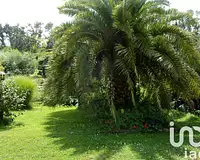 Maison, 265 m²
