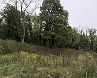 Terrain, 1 011 m²
