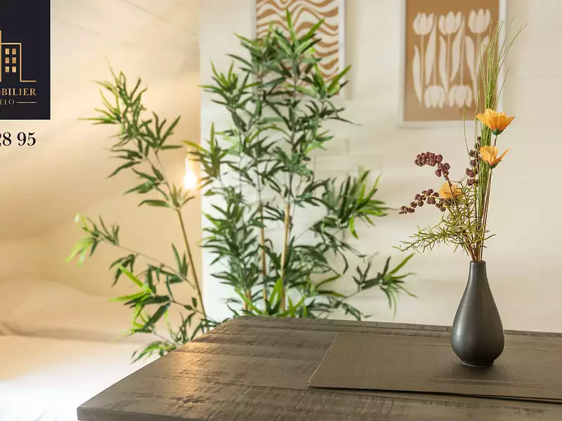 Appartement, 22 m²