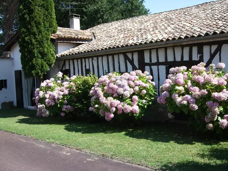 Maison, 211 m²