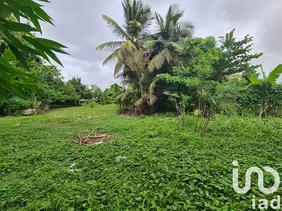 Terrain, 1 196 m²