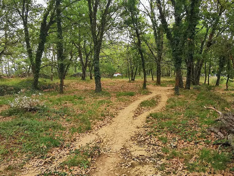 Terrain, 720 m²