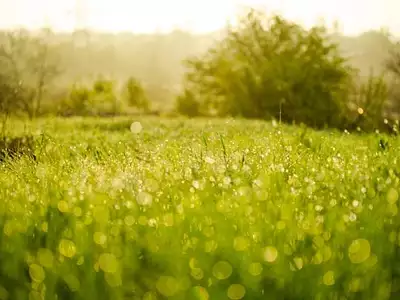 Terrain à bâtir, 699 m²