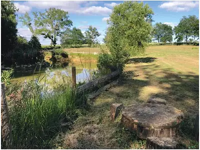 Terrain, 710 m²