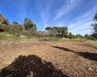 Terrain, 1 310 m²