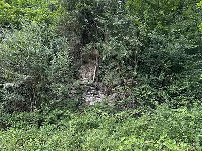 Terrain, 2 677 m²