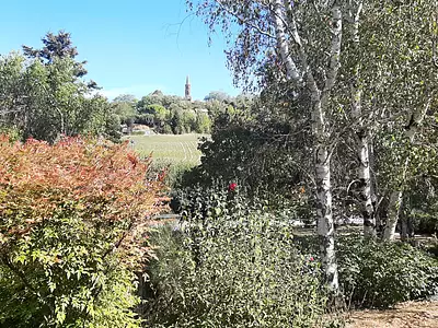 Terrain, 916 m²