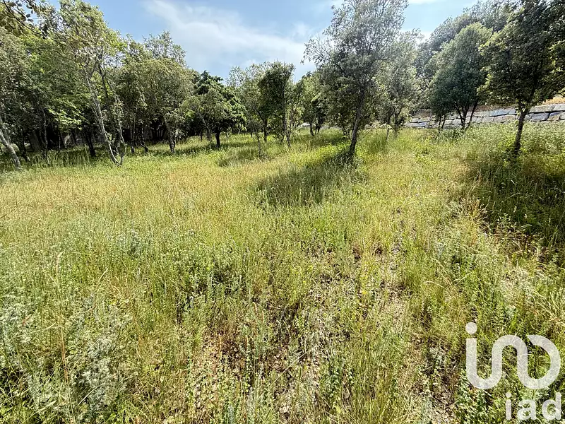 Terrain, 2 002 m²