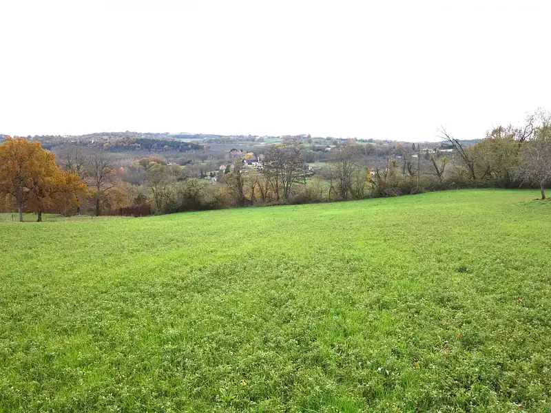 Terrain, 13 556 m²