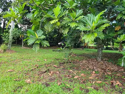 Terrain, 2 000 m²
