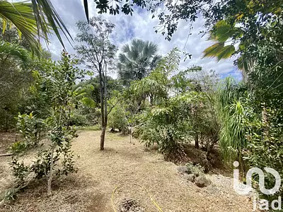 Maison, 220 m²