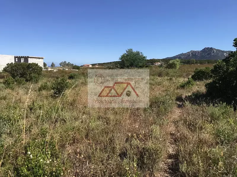 Terrain, 5 000 m²