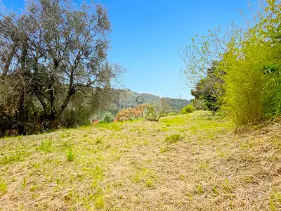 Terrain, 807 m²