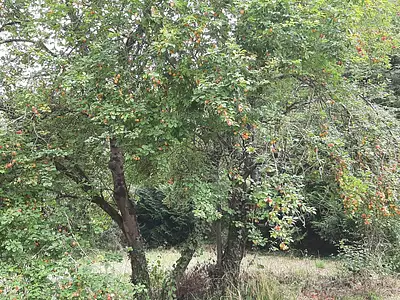 Terrain, 8 940 m²