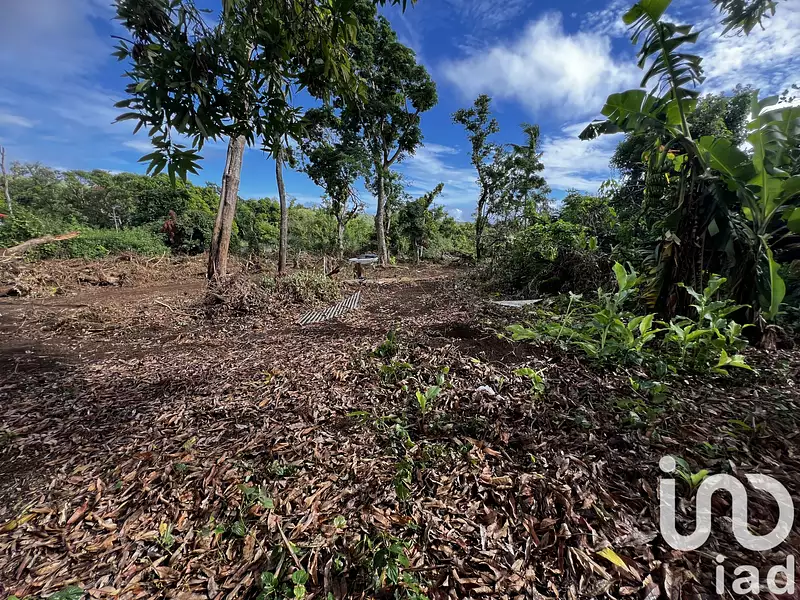 Terrain, 428 m²