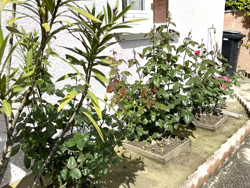 Maison, 168,5 m²