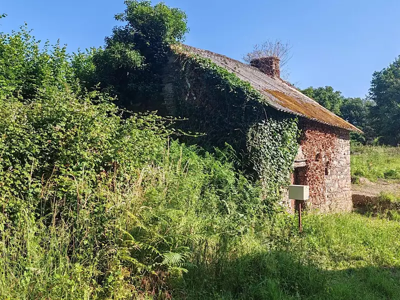 Maison, 50 m²