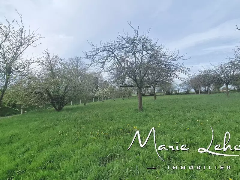 Terrain, 6 294 m²