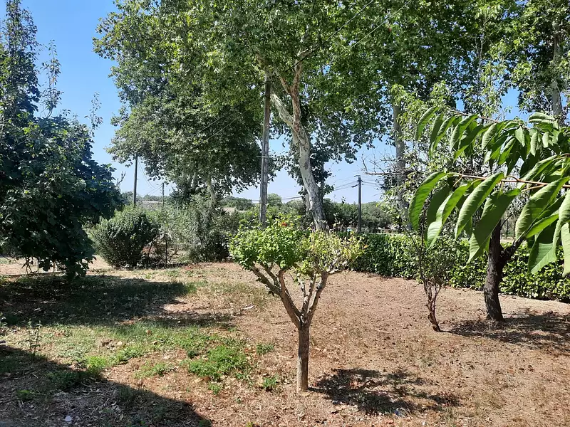 Maison, 80 m²