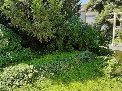 Maison, 48 m²