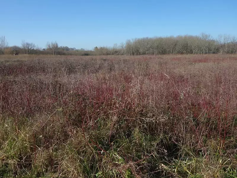 Terrain, 800 m²
