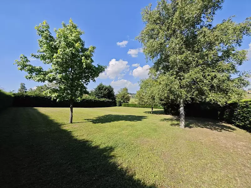 Terrain, 981 m²