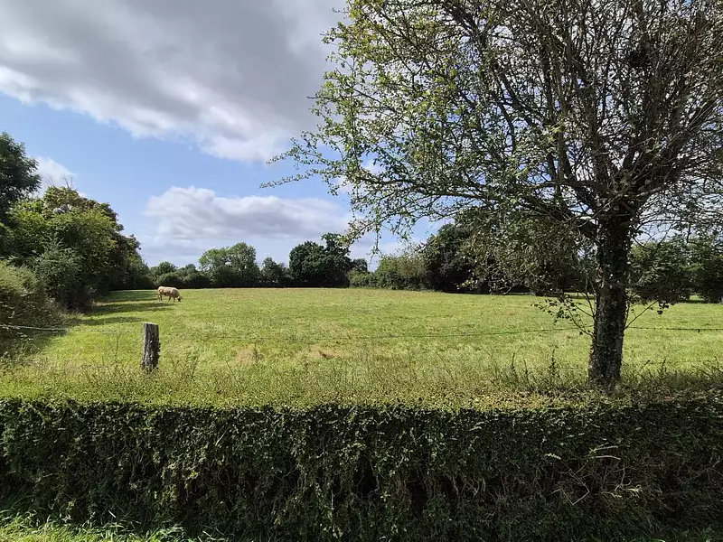 Maison, 180 m²