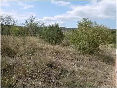 Terrain, 12 265 m²