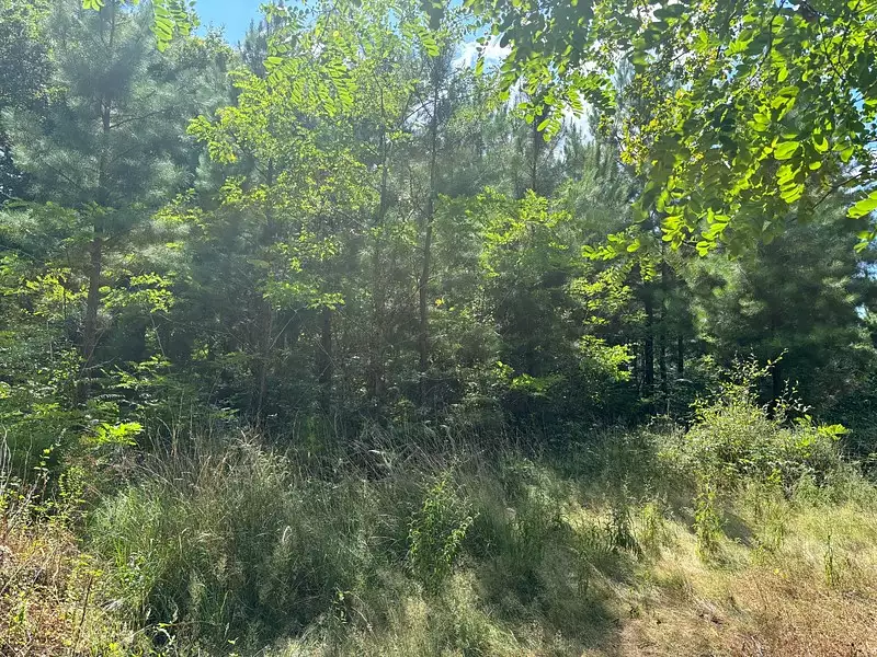 Terrain, 115 720 m²