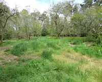 Terrain, 2 130 m²