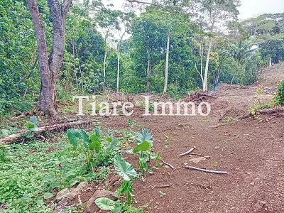 Terrain, 1 136 m²