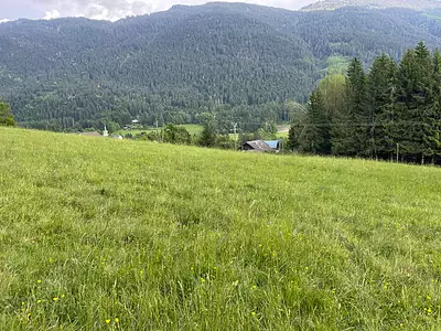 Terrain, 700 m²