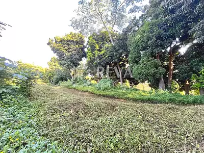 Terrain, 1 200 m²