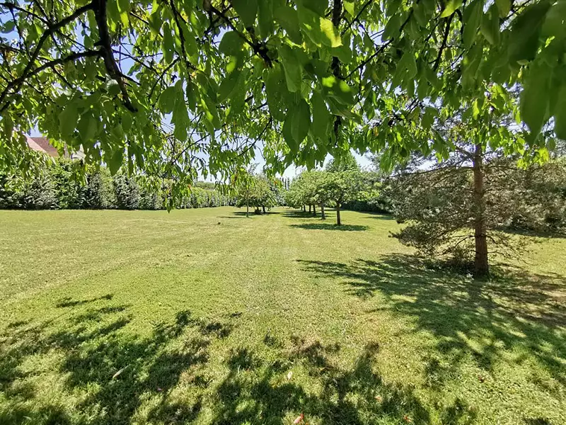 Maison, 560 m²