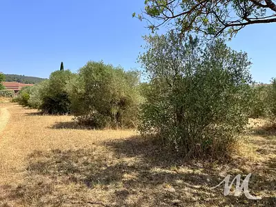 Terrain, 2 587 m²