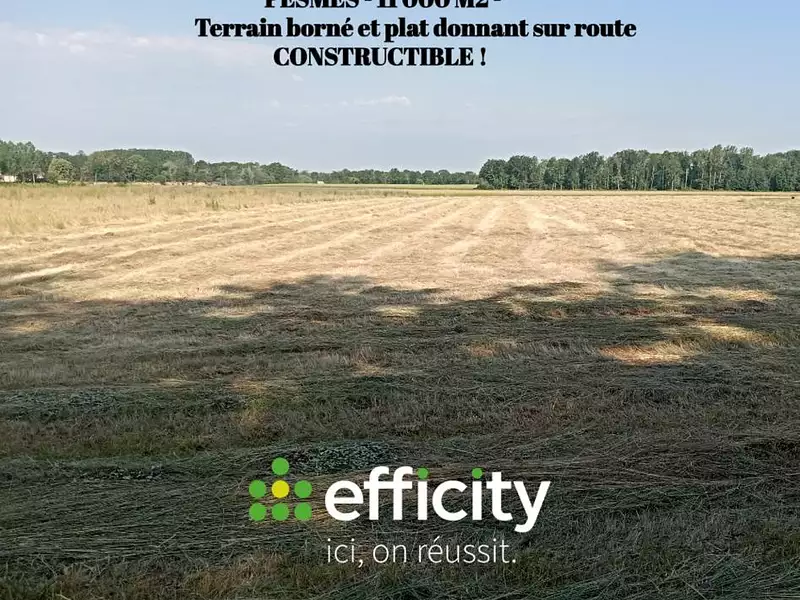Terrain, 11 000 m²