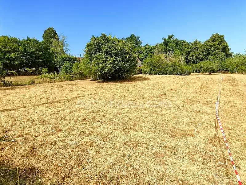 Terrain, 1 203 m²
