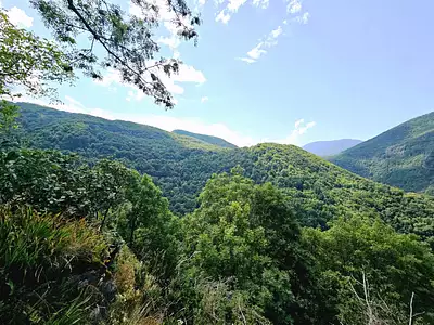 Terrain