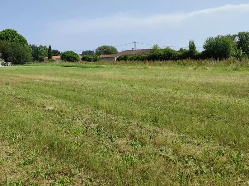 Terrain, 1 323 m²