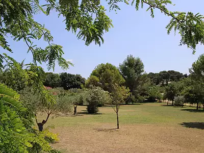 Maison, 216 m²