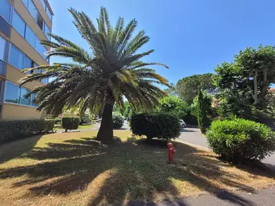 Appartement, 21 m²