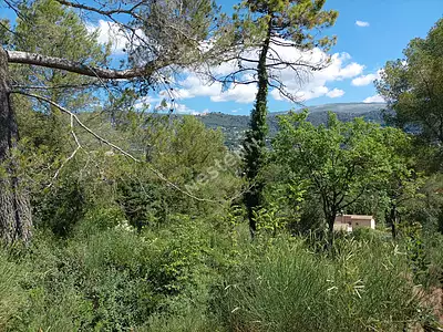 Terrain, 1 323 m²