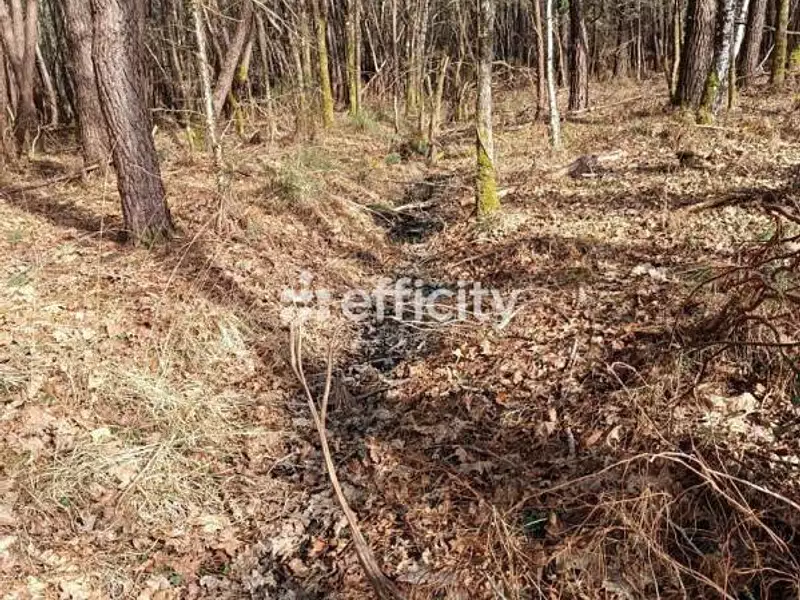 Terrain, 7 300 m²