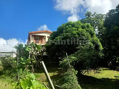 Maison, 219 m²